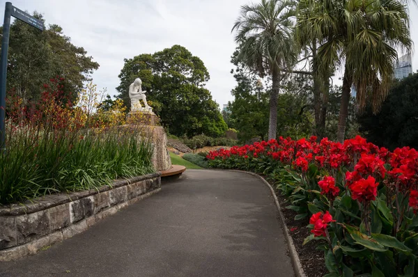 Alley in Sydney Royal Botanic Garden with bright flowers and scu — Stock Photo, Image