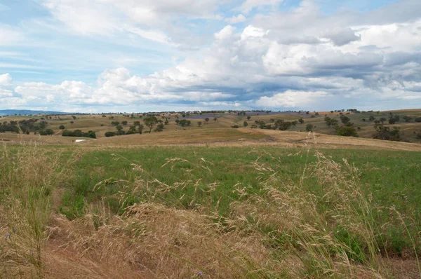 Australische platteland landschap van velden en gras — Stockfoto