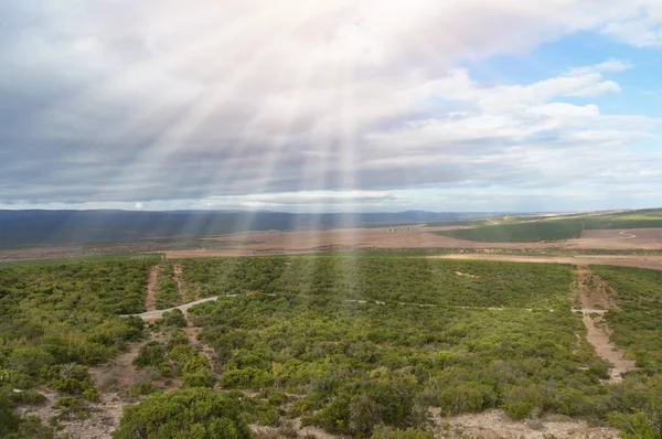 África vasto paisaje de matorrales y pastizales — Foto de Stock