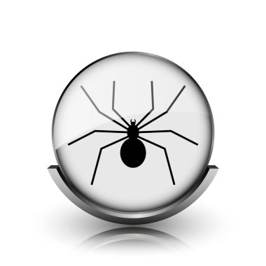 örümcek simgesi