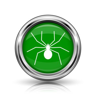 örümcek simgesi