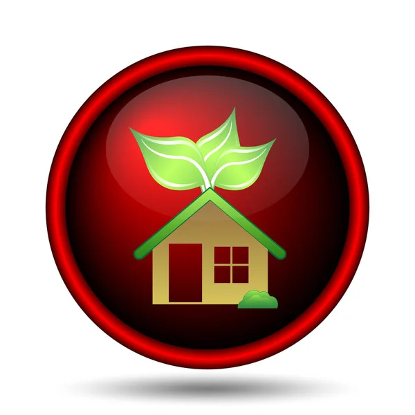 Eco house icon — Stock Photo, Image