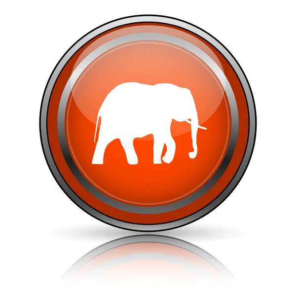 Ícone de elefante — Fotografia de Stock