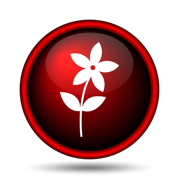 Flower  icon — Stock Photo, Image