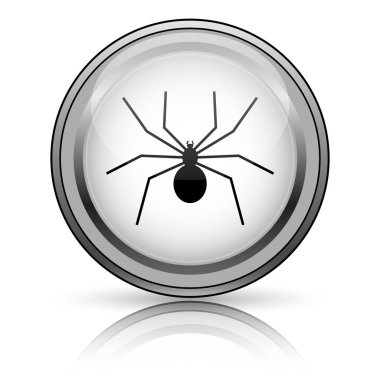 örümcek simgesi