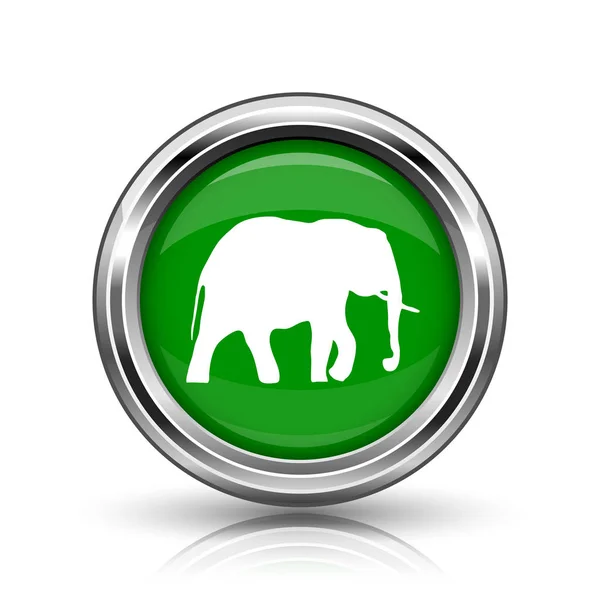 Olifant pictogram — Stockfoto