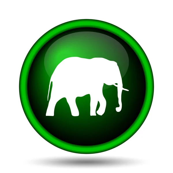 Icona elefante — Foto Stock