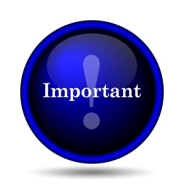 Önemli simgesi. Beyaz arka plan üzerinde Internet düğmesi