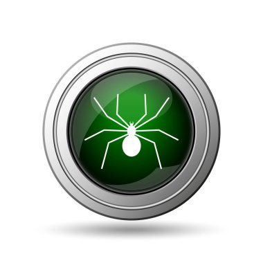 örümcek simgesi