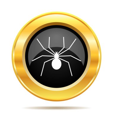 örümcek simgesi