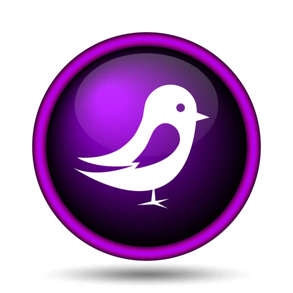 Vogel pictogram — Stockfoto