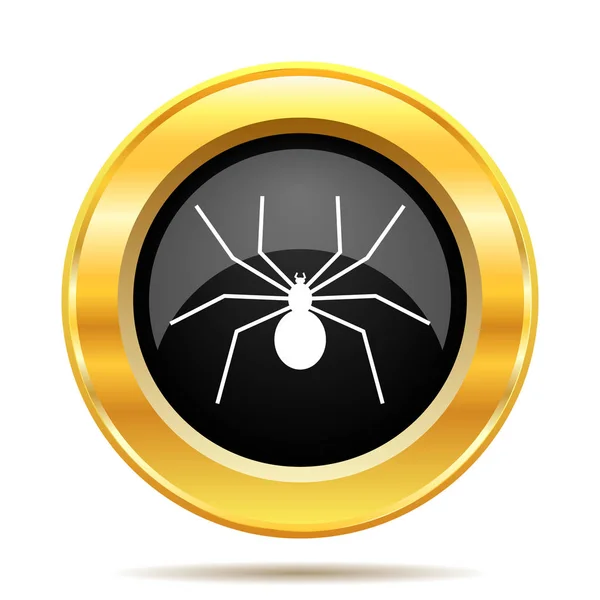 Pavouk ikona — Stock fotografie