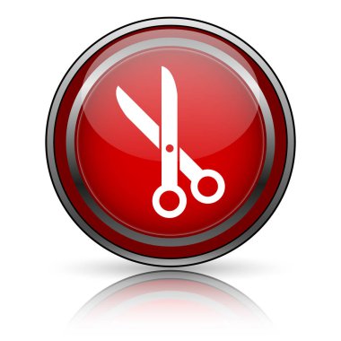 Beyaz zemin üzerine kırmızı parlak simge. Internet düğmesi.