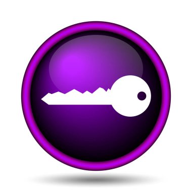 Anahtar simgesi. Beyaz arka plan üzerinde Internet düğmesi