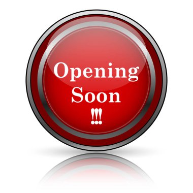 Beyaz zemin üzerine kırmızı parlak simge. Internet düğmesi.