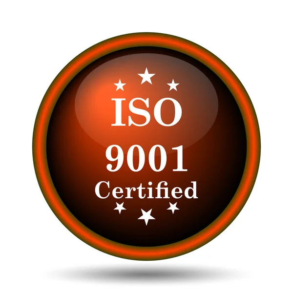 Иконка Iso9001 Кнопка Интернет Белом Фоне — стоковое фото
