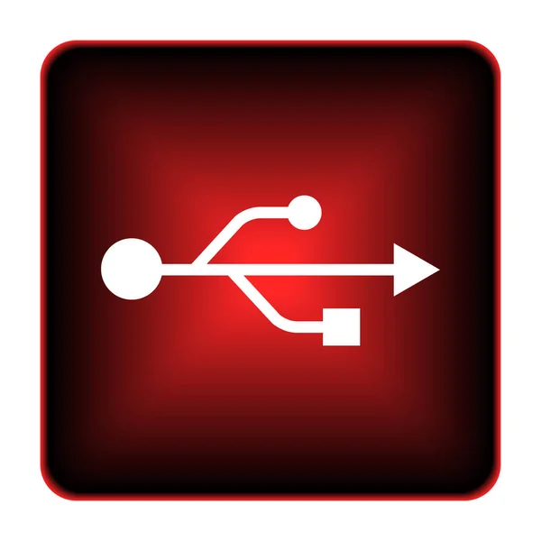 USB icon — Stock Photo, Image