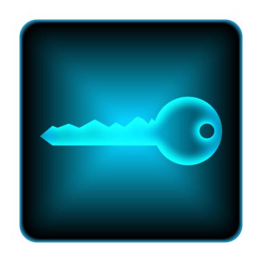 Anahtar simgesi. Beyaz arka plan üzerinde Internet düğmesi