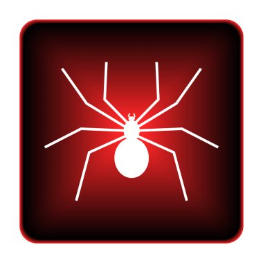 örümcek simgesi