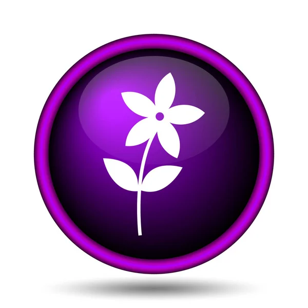 Icona di fiore — Foto Stock