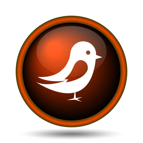 Fågel ikon — Stockfoto
