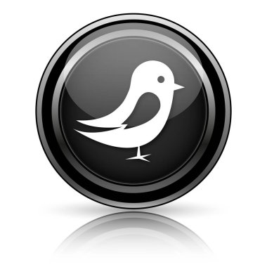 Siyah parlak simgesi