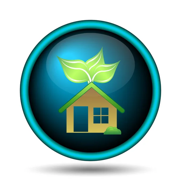 Eco house icon — Stock Photo, Image