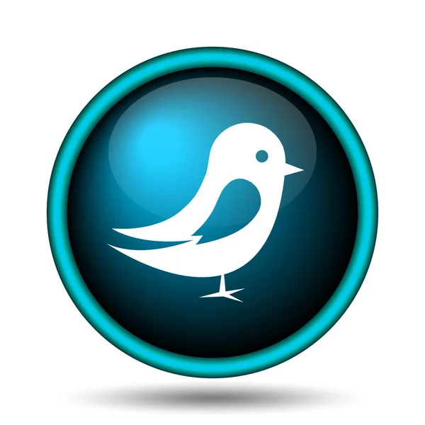 Bird icon — Stock Photo, Image