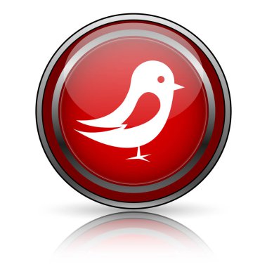 Beyaz zemin üzerine kırmızı parlak simge. Internet düğmesi.