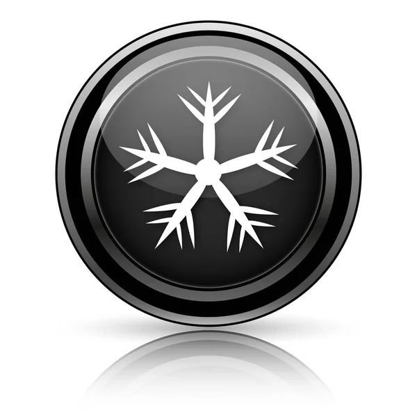 Black shiny icon — Stock Photo, Image