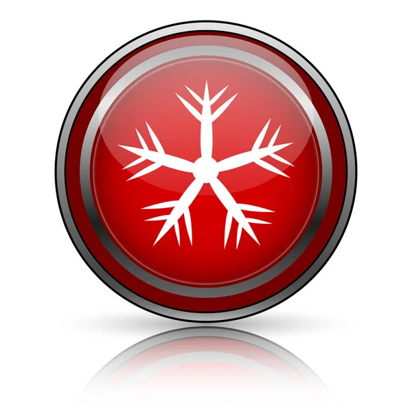 Red Shiny Icon White Background Internet Button — Stock Photo, Image
