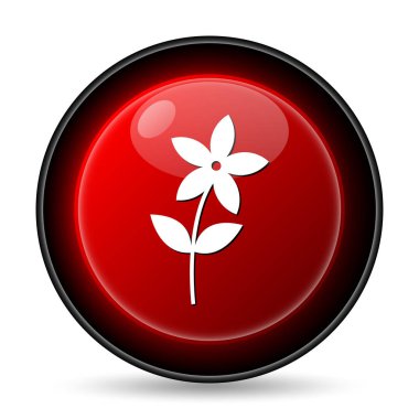 Çiçek Simgesi