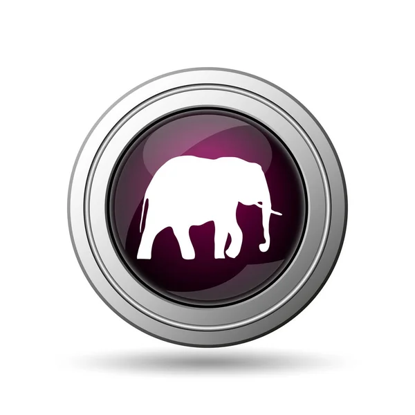 Sloní ikona — Stock fotografie