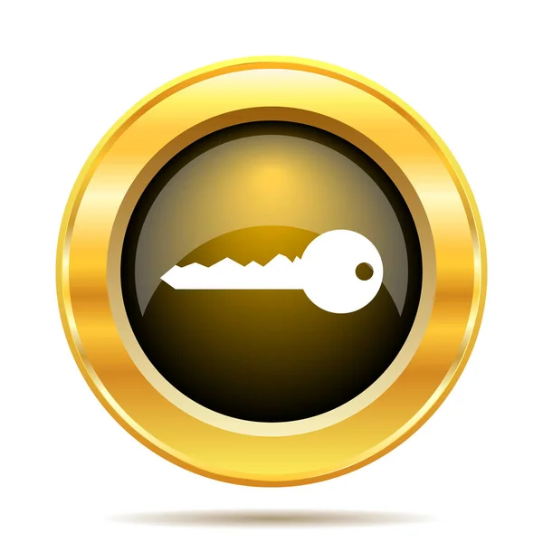 Key Icon Internet Button White Background — Stock Photo, Image