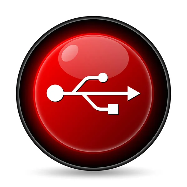 Usb Icon Internet Button White Background — Stock Photo, Image