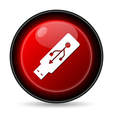 USB flash sürücü simgesi. Beyaz arka plan üzerinde Internet düğmesi