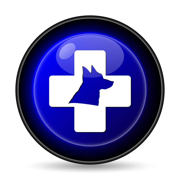 Ветеринарна Ікона Кнопка Інтернету Білому Тлі — стокове фото
