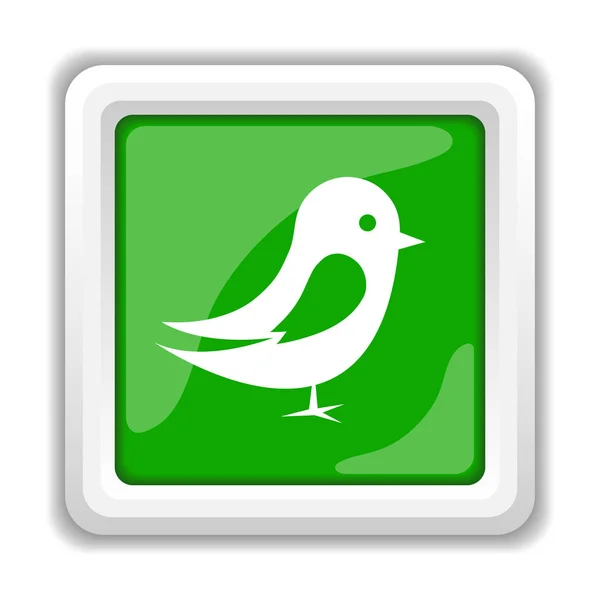 Vogel Pictogram Internet Knop Witte Achtergrond — Stockfoto