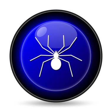 Örümcek simgesi. Beyaz arka plan üzerinde Internet düğmesi