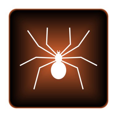 örümcek simgesi