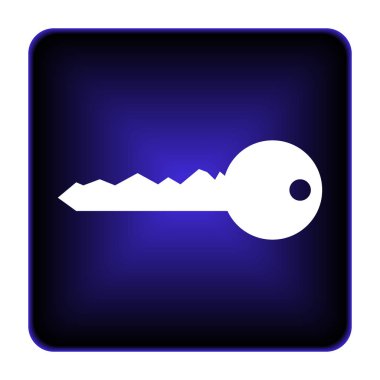 Anahtar simgesi. Beyaz arka plan üzerinde Internet düğmesi