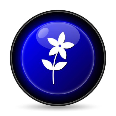 Çiçek simgesi. Beyaz arka plan üzerinde Internet düğmesi