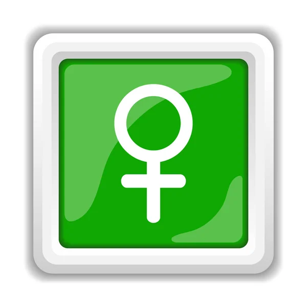 女性符号图标 白色背景上的互联网按钮 — 图库照片
