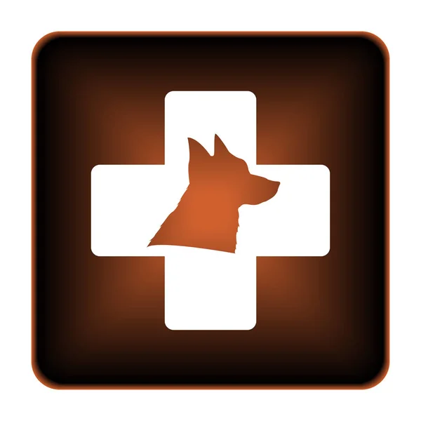Veterinary icon — Stock Photo, Image