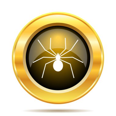 örümcek simgesi
