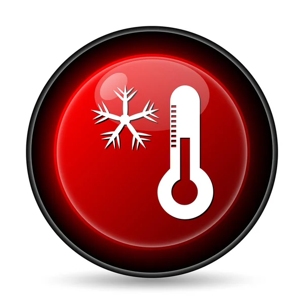 温度計のアイコンとスノーフレーク — ストック写真