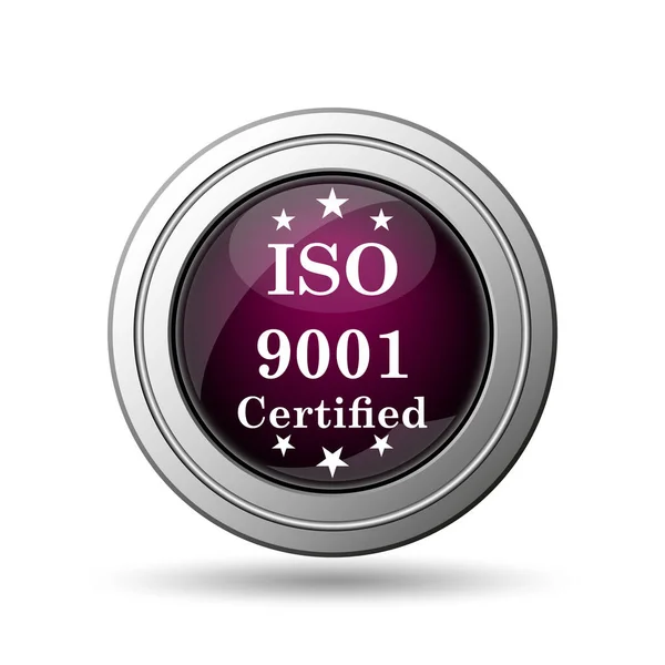 Icône Iso9001 Bouton Internet Sur Fond Blanc — Photo