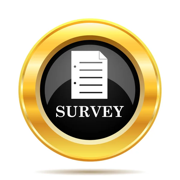 Survey icon — Stock Photo, Image