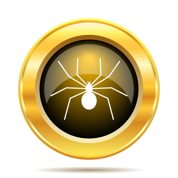 Pavouk ikona — Stock fotografie