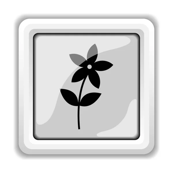 Bloem Pictogram Internet Knop Witte Achtergrond — Stockfoto